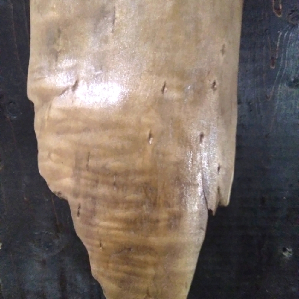 ⬇️⬇️Large OOAK Driftwood art sculpture piece was 30.00 - Picture 14 of 15